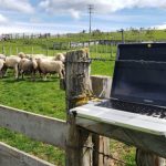 Olten: Sistema de monitoreo de   animales para evitar el sobre-   pastoreo de los campos en zonas  remotas y extensas